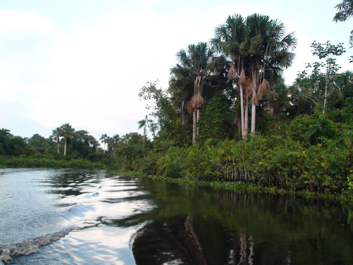 Delta Del Orinoco Biosphere Reserve Venezuela Lac Geo